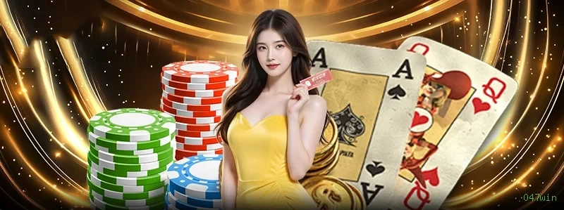 047win Provedores Premium